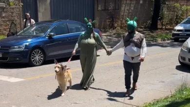 Pais se fantasiam de Shrek e Fiona para surpreender filha em escola de Goiás