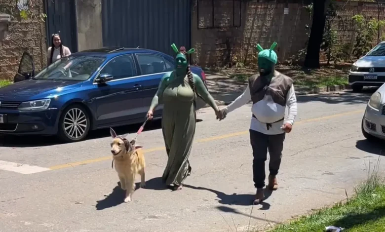 Pais se fantasiam de Shrek e Fiona para surpreender filha em escola de Goiás