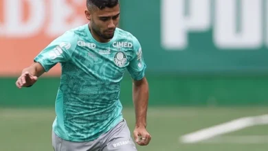 Palmeiras mantém retrospecto favorável diante do Bahia no Campeonato Brasileiro