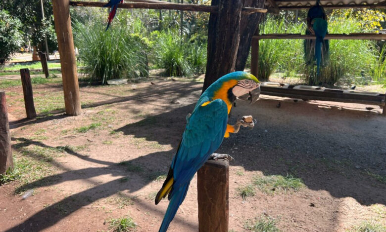 Parques Mutirama e Zoológico oferecem opções de lazer em Goiânia