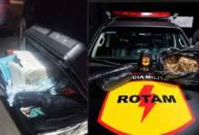 Polícia prende homem com 6 kg de skunk em rodoviária de Goiânia