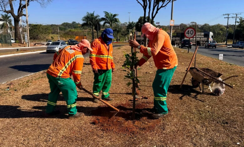 Prefeitura de Goiânia planta mais de mil árvores e planeja novas etapas