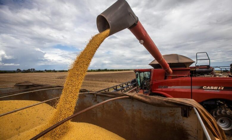 Produção goiana de grãos atinge 33,6 milhões de toneladas e garante a quarta posição nacional