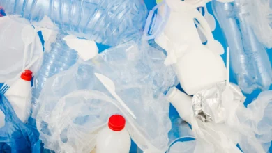 Projeto de lei propõe eliminar plásticos descartáveis em escolas brasileiras