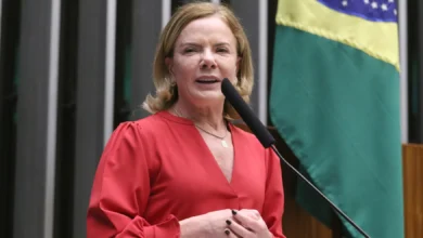 Projeto de lei propõe punição rigorosa para divulgação de maus-tratos a animais