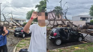 Queda de árvore sobre veículo deixa jovens feridos durante temporal em Goiânia
