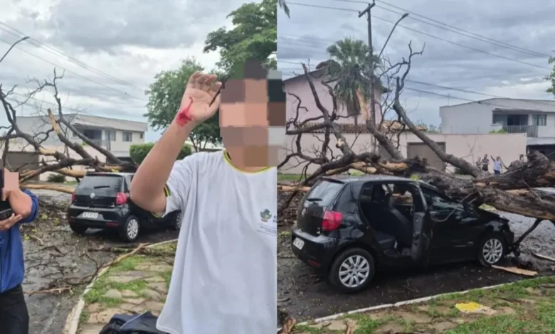 Queda de árvore sobre veículo deixa jovens feridos durante temporal em Goiânia