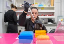 Ranking global aponta 15 cientistas de Goiás entre os mais influentes do mundo em 2025