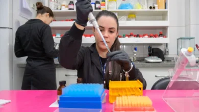 Ranking global aponta 15 cientistas de Goiás entre os mais influentes do mundo em 2025