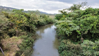 Saneago mantém abastecimento em Goiânia apesar de Rio Meia Ponte atingir nível de alerta hídrico