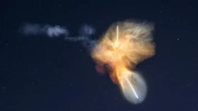 Spacex cria efeito de água-viva espacial no céu da Flórida