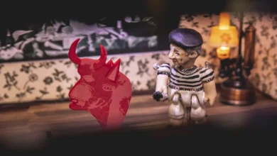 Teatro lambe-lambe leva cultura e oficinas a aldeias indígenas em Goiás