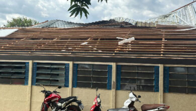 Tempestade causa destelhamento e queda de árvores na madrugada