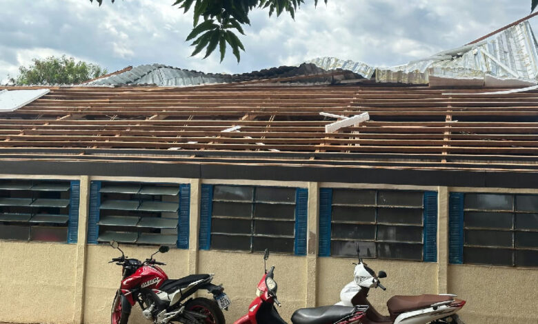Tempestade causa destelhamento e queda de árvores na madrugada