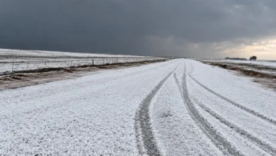 Tempestade de granizo transforma paisagem rural e surpreende moradores