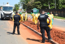 Trabalho de trinta detentos renova o paisagismo de vinte vias em Aparecida