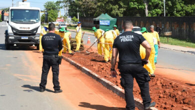 Trabalho de trinta detentos renova o paisagismo de vinte vias em Aparecida