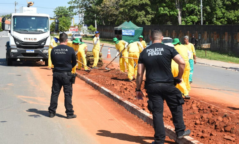 Trabalho de trinta detentos renova o paisagismo de vinte vias em Aparecida