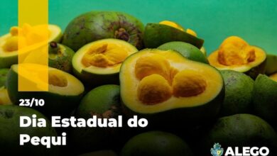 Tradição e sabor do cerrado marcam o dia estadual do pequi