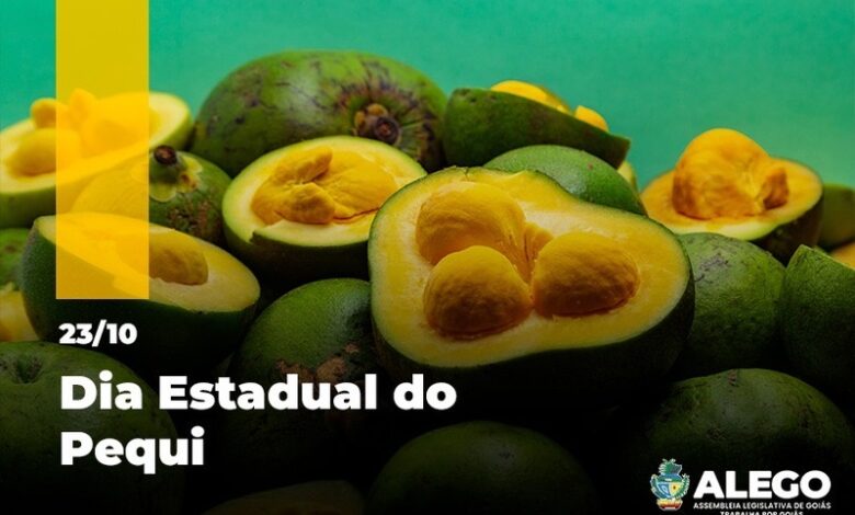 Tradição e sabor do cerrado marcam o dia estadual do pequi