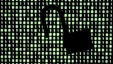 Vulnerabilidade crítica em linguagem de programação afeta sites globais