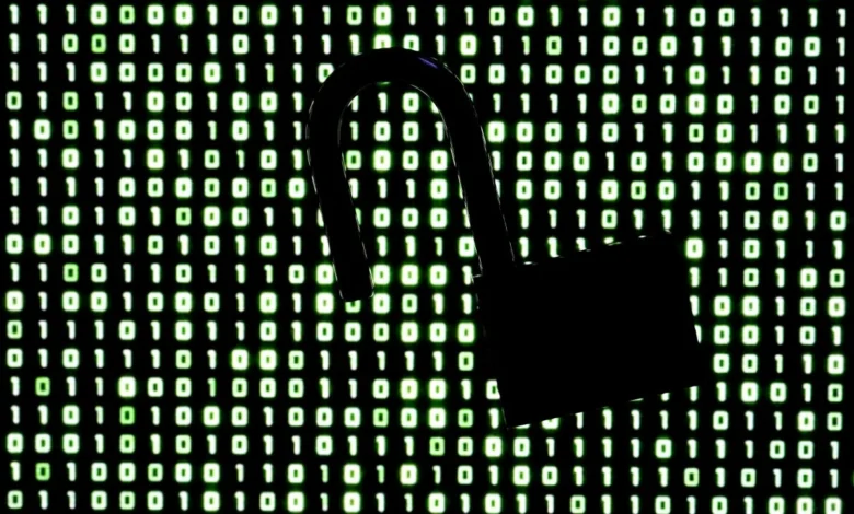 Vulnerabilidade crítica em linguagem de programação afeta sites globais